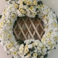 تاج گل|گل و گیاه طبیعی|صدرا-فارس, فاز ۱|دیوار