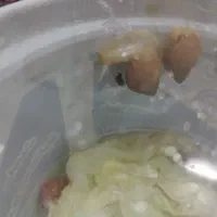 حلزون 6 عدد 80