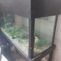 آکواریوم بزرگ