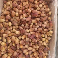 زاهدی|حراج|ایلام, |دیوار