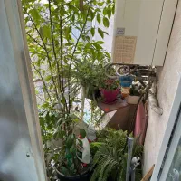 60-متری-تسلیحات