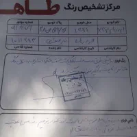 ایکس ۳۳ مدل ۹۱ سفید|خودرو سواری و وانت|مشهد, امیریه|دیوار