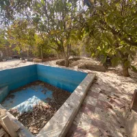 500-متر-باغ-استخر-و-آلاچیق-دوکله-بکه-بلوار-اصلی