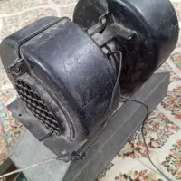 بخاری پیکان