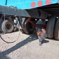 تریلی تراکتور|خودرو سنگین|نجفآباد, گلدشت|دیوار