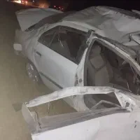 سمندال ایکس چپی فروشی