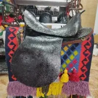 پانسیون اسب