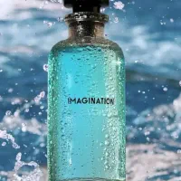 لویی ویتون ایمجینیشن