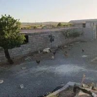 فروش زمین و گلخانه|فروش دفتر صنعتی، کشاورزی، تجاری|تیران, |دیوار