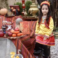 لباس محلی / لباس اقوام|لباس|گرگان, |دیوار