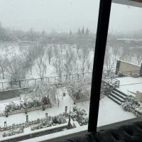 ۸۰۰متر شهرک صادقیه