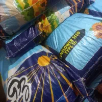 تخمه سبز بهار۲۰کیلویی تعداد ب شرط درجه یک