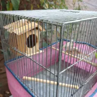 یه جفت فنچ همراه قفس|پرنده|فردیس, شهرک ۱۱۰|دیوار