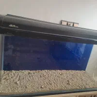 آکواریوم|لوازم جانبی حیوانات|قم, سراجه (۱۵ خرداد)|دیوار