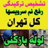 نشت یابی رفع نم تشخیص ترکیدگی بادستگاه وتعمیرات