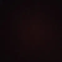 ۰۹۱۲۱۹۳