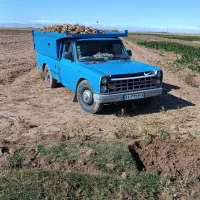 فروش چقندر قند|عمدهفروشی|دشتابی, |دیوار