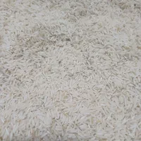 برنج دم سیاه
