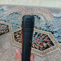 اسپیکر|آلات موسیقی|گرگان, |دیوار