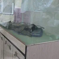 دو عدد آکواریوم بزرگ شیشه خم و معمولی پلنت مانستر