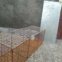 قفس