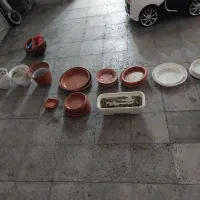 گلدان بزرگ متوسط کوچک|گل و گیاه طبیعی|تهران, بهداشت|دیوار