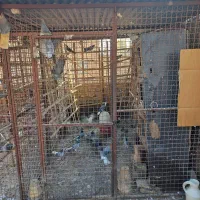 فروش توربند آهنی