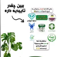 کود ارگانیک قرصی برای گلهای آپارتمانی|گل و گیاه طبیعی|گنبد کاووس, |دیوار