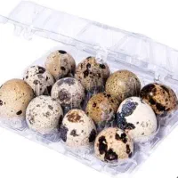 ظرف بلدرچین|ظروف نگهدارنده، پلاستیکی، یک‌بارمصرف|فردیس, نگارستان|دیوار