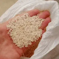 برنج هاشمی تازه