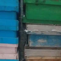 جعبه و طبق زنبور عسل