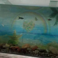 اکواریوم
