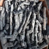 زغال قلم سفید پسته قلیونی وکبابی لیمو و پسته