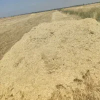 کارگر کاه