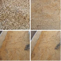 خریدار نارنج و هسته نارنج|خدمات باغبانی و درختکاری|گرگان, |دیوار