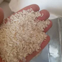 برنج فجر شمال|خوردنی و آشامیدنی|پاکدشت, شهرک انقلاب|دیوار