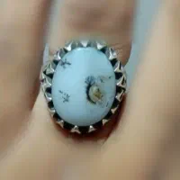 انگشتر شجر نقره سنگین وزن