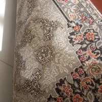 فرش۹ متری|فرش|کرمانشاه, |دیوار
