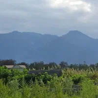 زمین داخل شهر ماسال|فروش زمین و ملک کلنگی|ماسال, |دیوار