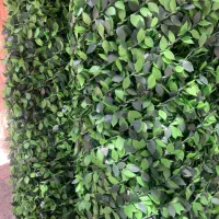 چمن مصنوعی|مصالح و تجهیزات ساختمان|کرج, دهقان ویلا|دیوار