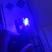 هدلایت|لامپ و چراغ|شاهرود, |دیوار