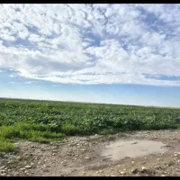 استخدام کارگر آبیار(مهران)