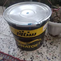 رنگ ۲۰ لیتری مارک سناتور آبی نیسانی درجه یک|مصالح و تجهیزات ساختمان|آستارا, |دیوار