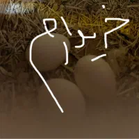 تخم گرینچیک نطفه دار