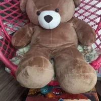 خرسی بزرگ قهوه ای
