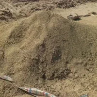 کاه خار فروشی