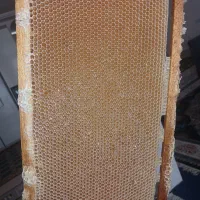 عسل طبیعی بدون تغذیه