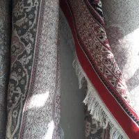 جفت ۱۲متری ریز ماهی