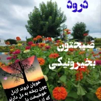 بیمه شخص ثالث