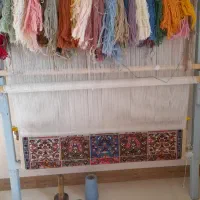 قالی نیمه کاره ۶ تا صدتایی نخ نایینی آماده بافتن